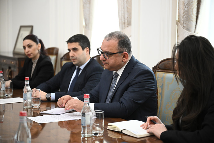 Փոխվարչապետ Տիգրան Խաչատրյանն  ընդունել է Ֆրանսիայի դեսպանին