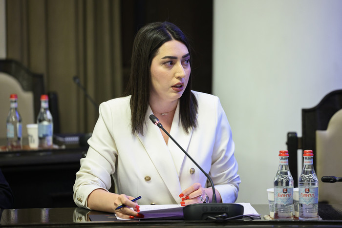 Կառավարությունը նախատեսում է  ներդնել վարելու իրավունքի վերականգնման նոր՝ առավել թիրախային մոդել