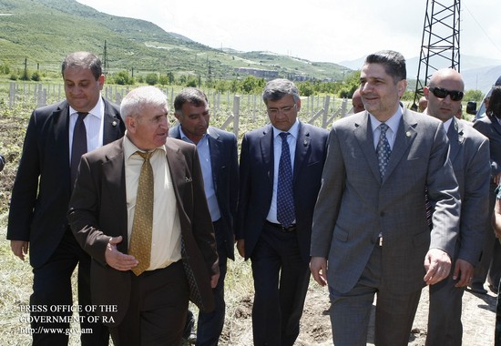 Այգեգործության ոլորտի զարգացումը նոր աշխատատեղեր բացելու հնարավորություն է տալիս