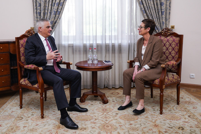 Փոխվարչապետ Մհեր Գրիգորյանն ընդունել է Ֆրանսիայի դեսպանին