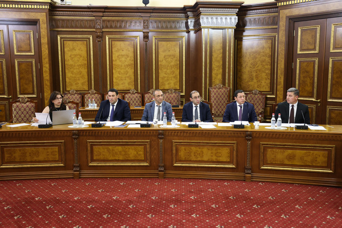 Կայացել է սուբվենցիոն հայտերի գնահատման հանձնաժողովի հերթական նիստը
