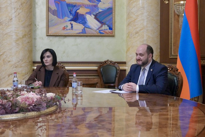 Վարչապետի աշխատակազմի ղեկավարն ընդունել է Հայաստանում Վրաստանի նորանշանակ դեսպանին