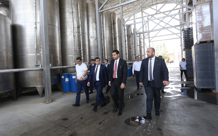 Փոխվարչապետ Սուրեն Պապիկյանն Արմավիրում ծանոթացել է խաղողի մթերման գործընթացին