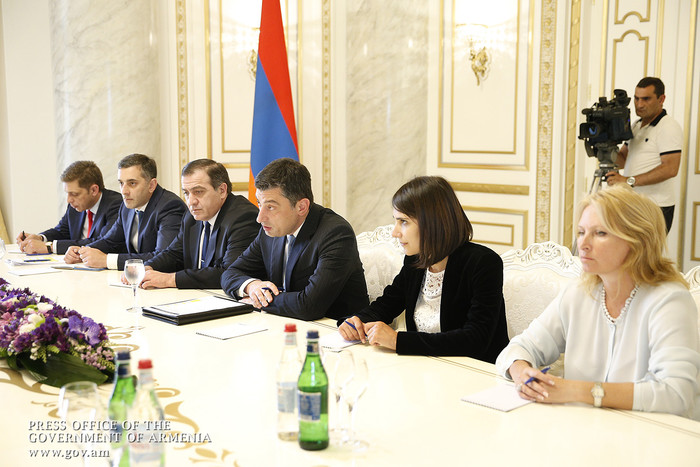 Կարեն Կարապետյանն ընդունել է Վրաստանի էկոնոմիկայի  և կայուն զարգացման նախարարի գլխավորած պատվիրակութ