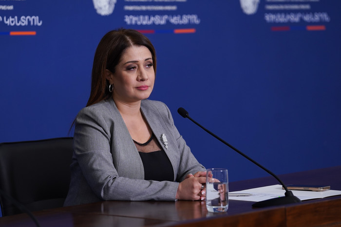 Լեռնային Ղարաբաղից բռնի տեղահանված անձանց հաշվառումը չափազանց կարևոր է Կառավարության աջակցության ծրա