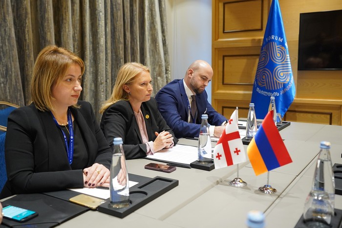 Փոխվարչապետ Տիգրան Ավինյանը հանդիպել է Վրաստանի էկոնոմիկայի ու կայուն զարգացման նախարարին