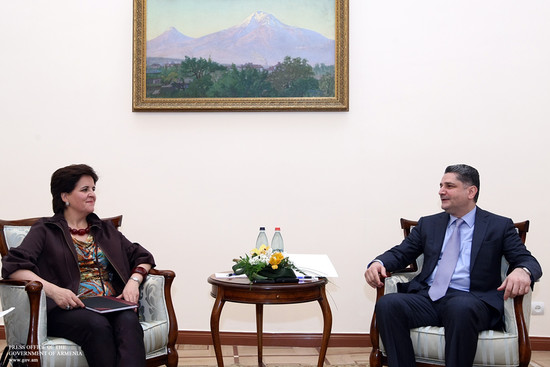 Տիգրան Սարգսյանն ԱՄՀ մշտական ներկայացուցչի հետ քննարկել է երկկողմ փոխգործակցությունը