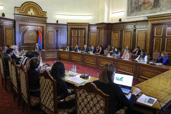 Հայաստանի Հանրապետությունն ունի կլիմայական հավակնոտ օրակարգ․ փոխվարչապետ Մաթևոսյան