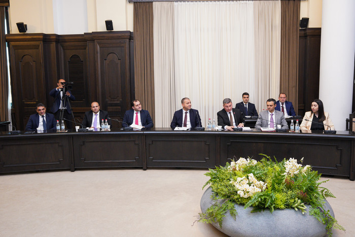 Կառավարությունը զարգացման նոր հնարավորություններ կստեղծի դեղագործական արդյունաբերության ոլորտի համար