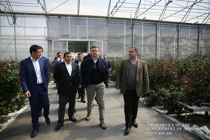 Կառավարության ղեկավարը ծանոթացել է վարդերի աճեցմամբ զբաղվող ընկերության ներդրումային նոր ծրագրին