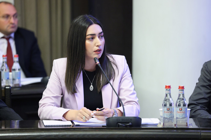 Կառավարությունը Լոռու և Տավուշի մարզերում հեղեղումների պատճառով տուժած տնտեսավարողներին աջակցության 