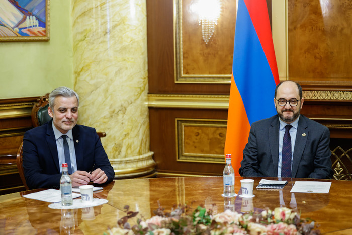 Արայիկ Հարությունյանը հանդիպել է Ֆրանկոֆոնիայի միջազգային կազմակերպության ներկայացուցչի և խաղերի միջ