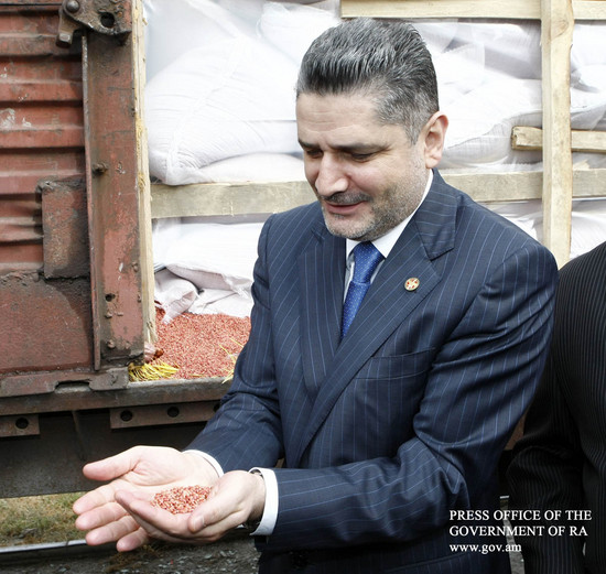 Հայաստան է ներկրվել ցորենի «էլիտա» սերմնացուն