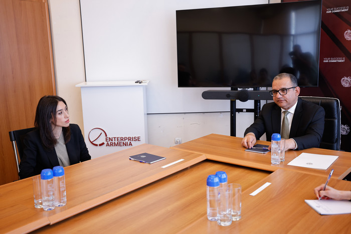 Փոխվարչապետ Տիգրան Խաչատրյանը ներկայացրել է «Ներդրումների աջակցման կենտրոն» հիմնադրամի  նորանշանակ  