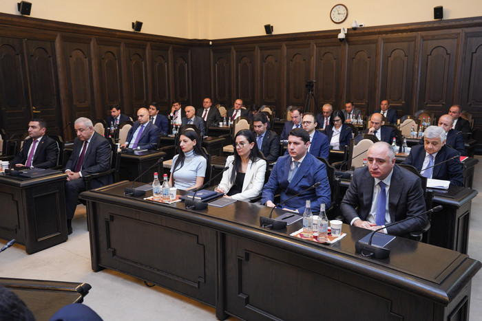 Կառավարությունը զարգացման նոր հնարավորություններ կստեղծի դեղագործական արդյունաբերության ոլորտի համար