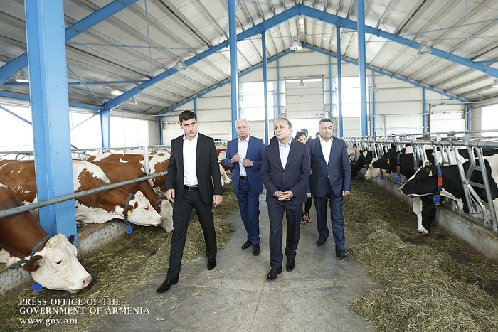 Երկրի վարչապետը մարզերում խորհրդակցություններ է անցկացնում խաղողի մթերման վերաբերյալ