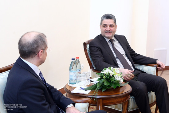 Հանդիպում Հայաստանում Եվրոպայի խորհրդի գլխավոր քարտուղարի հատուկ ներկայացուցչի հետ