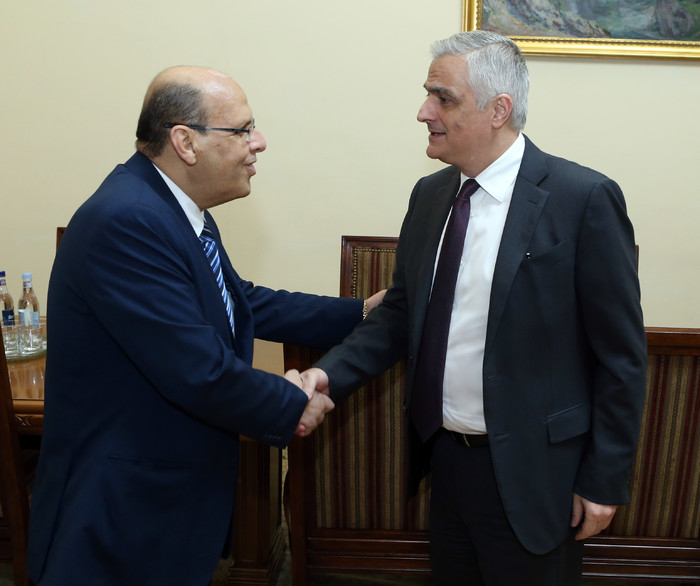 Փոխվարչապետ Մհեր Գրիգորյանն ընդունել է Եգիպտոսի նորանշանակ դեսպանին