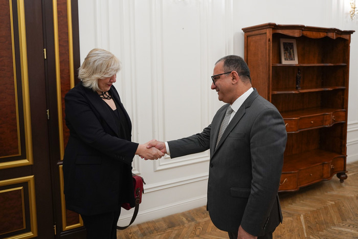 Փոխվարչապետ Տիգրան Խաչատրյանն ընդունել է ԵԽ մարդու իրավունքների հանձնակատարին