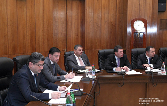 Տիգրան Սարգսյանը հանձնարարել է համապատասխան գերատեսչությունների ղեկավարներին՝ բնապահպանների հետ քննա