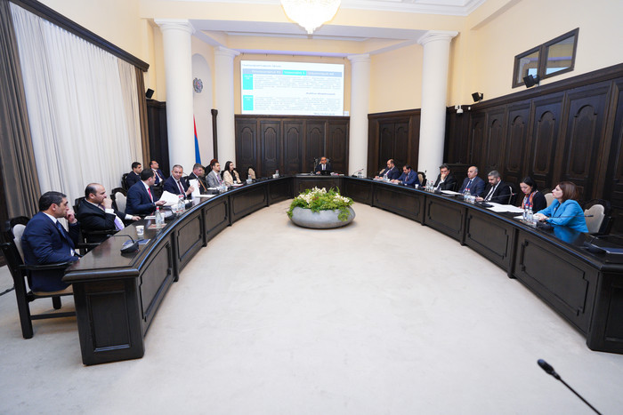 Կառավարությունը զարգացման նոր հնարավորություններ կստեղծի դեղագործական արդյունաբերության ոլորտի համար