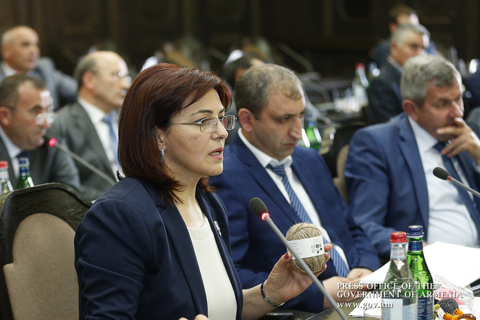 Վարչապետն ընդունել է զարգացման լավագույն ծրագրեր ներկայացրած համայնքների ղեկավարներին