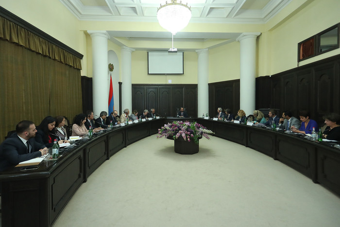 Առաջին փոխվարչապետ Արարատ Միրզոյանի հերթական հանդիպումը մի շարք միջազգային դոնոր պետությունների և կա