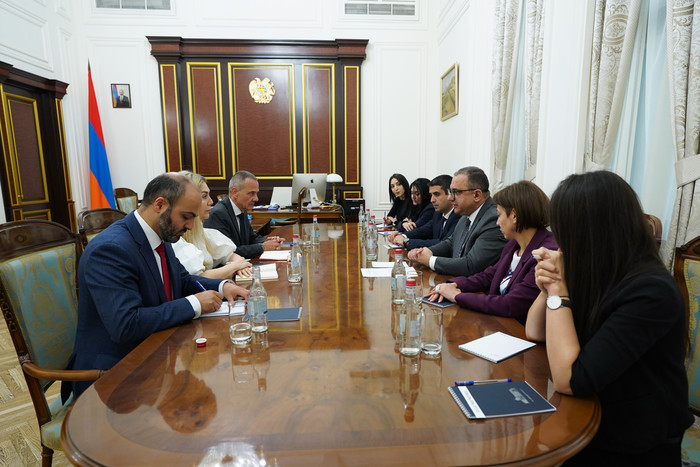 Փոխվարչապետ Տիգրան Խաչատրյանն ընդունել է Հայաստանում Կարմիր խաչի միջազգային կոմիտեի (ԿԽՄԿ) պատվիրակո