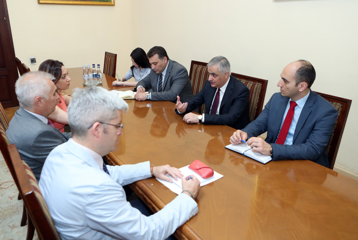 Փոխվարչապետ Մհեր Գրիգորյանն ընդունել է ԵՄ պատվիրակության ղեկավար, դեսպան Պյոտր Սվիտալսկիին