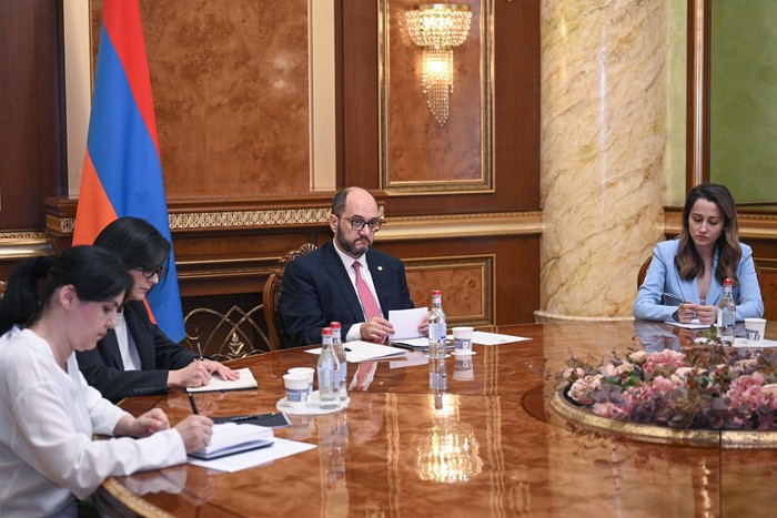 Արայիկ Հարությունյանն ընդունել է ԱՄՆ ՄԶԳ առաքելության տնօրեն Ջոն Ալելոյին