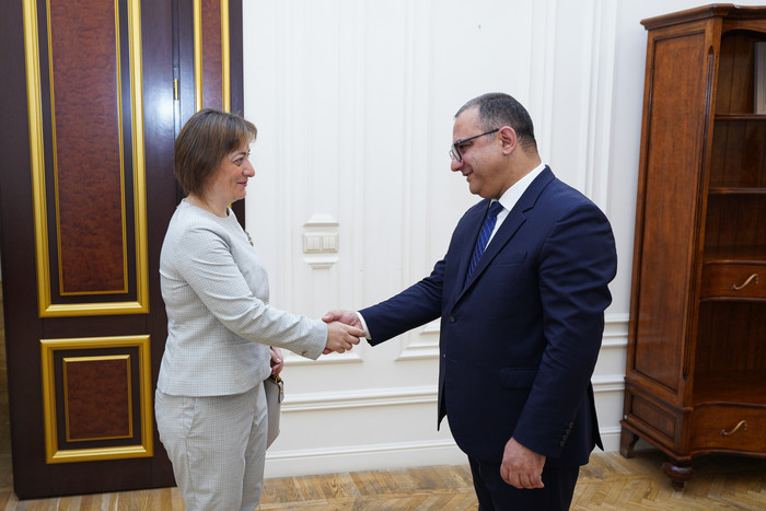 Փոխվարչապետ Տիգրան Խաչատրյանն ընդունել է ՄԱԶԾ հայաստանյան գրասենյակի մշտական ներկայացուցչին