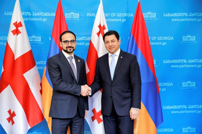 ՀՀ փոխվարչապետ Տիգրան Ավինյանը հանդիպել է Վրաստանի խորհրդարանի նախագահ Արչիլ Թալակվաձեի հետ