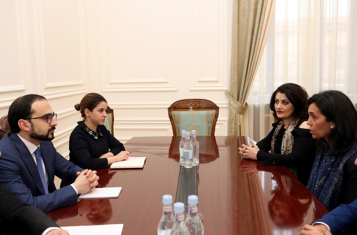Փոխվարչապետի պաշտոնակատար Տիգրան Ավինյանն ընդունեց «Վեոլիա» ընկերության Կենտրոնական և Արևելյան Եվրոպ