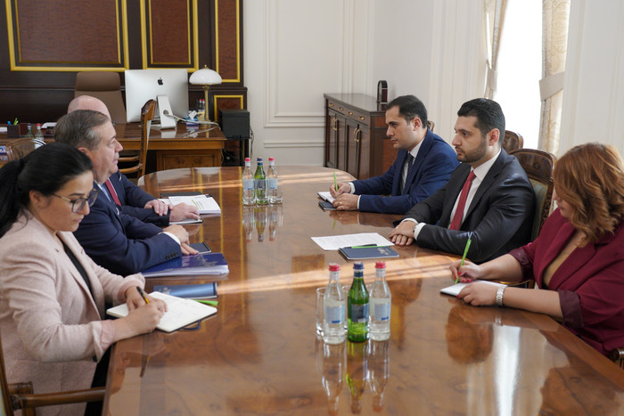 Փոխվարչապետ Մաթևոսյանն ընդունել է Միջազգային հանրապետական ինստիտուտի եվրասիական տարածաշրջանի տնօրեն 