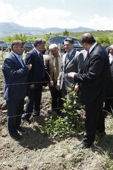 Այգեգործության ոլորտի զարգացումը նոր աշխատատեղեր բացելու հնարավորություն է տալիս