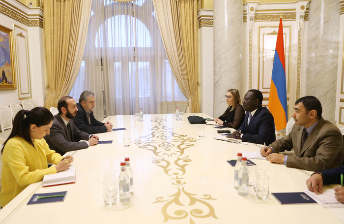 Առաջին փոխվարչապետի պաշտոնակատար Արարատ Միրզոյանն ընդունել է ՄԱԿ-ի Խաղաղ հավաքների և միություններ կա