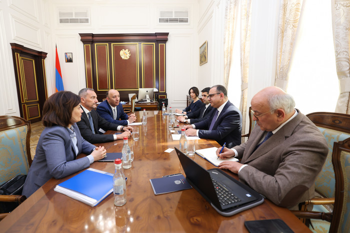 Տիգրան Խաչատրյանն  ընդունել է «Վեոլիա» ընկերության փոխնախագահին