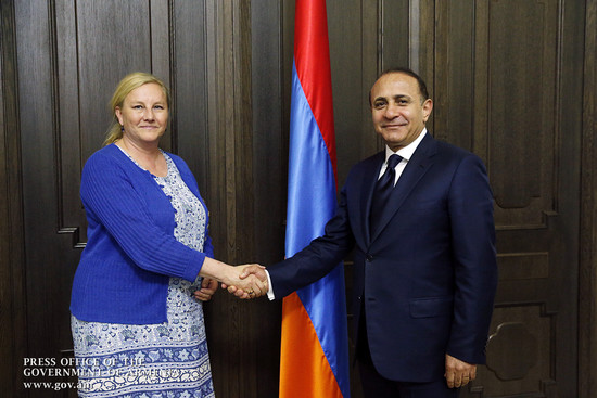 Հովիկ Աբրահամյանը Շվեդիայի առևտրի նախարարի հետ քննարկել է երկկողմ տնտեսական կապերի ակտիվացման ուղինե