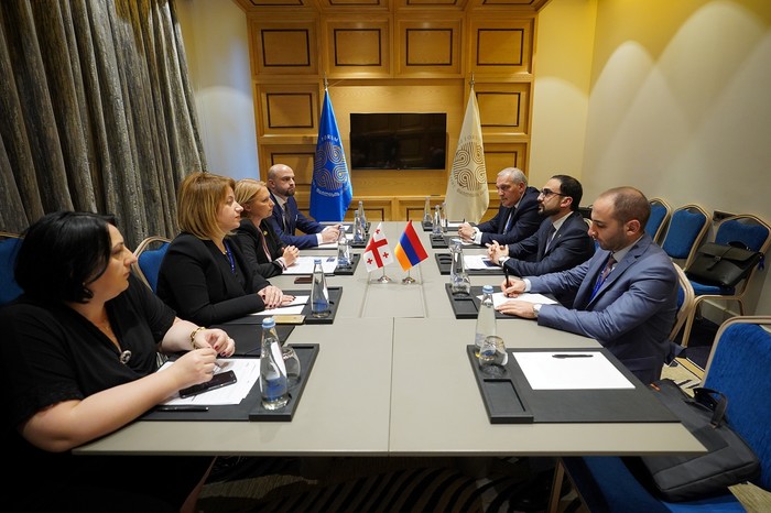 Փոխվարչապետ Տիգրան Ավինյանը հանդիպել է Վրաստանի էկոնոմիկայի ու կայուն զարգացման նախարարին