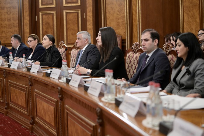 Կայացել է հանդիպում Կառավարության ներկայացուցիչների և ԵՄ-ՀՀ ՀԸԳՀ քաղհասարակության պլատֆորմի անդամներ