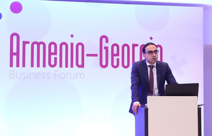 Փոխվարչապետ Տիգրան Ավինյանը ելույթով հանդես է եկել հայ-վրացական գործարար համաժողովի բացմանը
