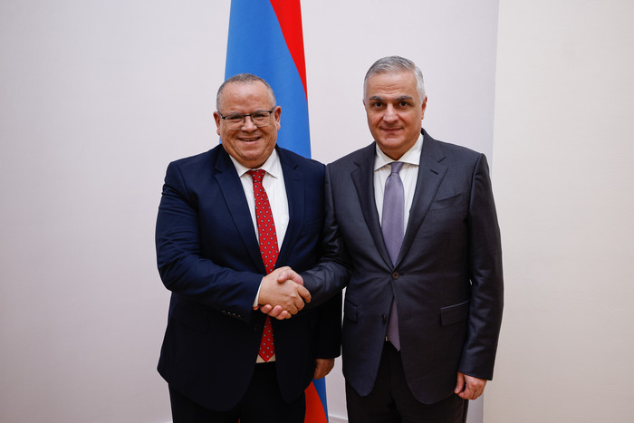 Փոխվարչապետ Մհեր Գրիգորյանն ընդունել է Ալժիրի դեսպանին