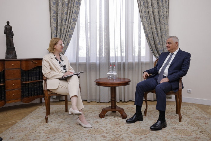 Փոխվարչապետ Մհեր Գրիգորյանն ընդունել է Գերմանիայի դեսպանին