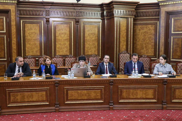 Քննարկվել են Հայաստանի համայնքներից ստացված սուբվենցիայի ծրագրային 80 հայտերը