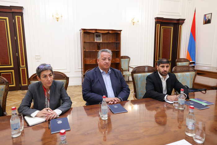 Փոխվարչապետ Տիգրան Խաչատրյանն ընդունել է հայազգի գործարար եւ բարերար Նուբար Աֆեյանին