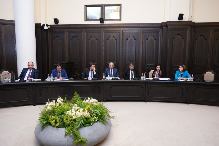 Կառավարությունը զարգացման նոր հնարավորություններ կստեղծի դեղագործական արդյունաբերության ոլորտի համար