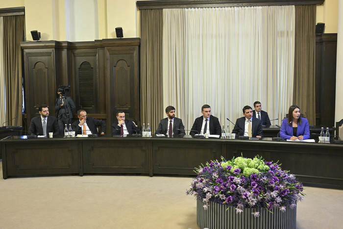 Կառավարությունը լավարկել է  տրանսպորտային միջոց վարելու իրավունքի վկայականի թվայնացման գործընթացը
