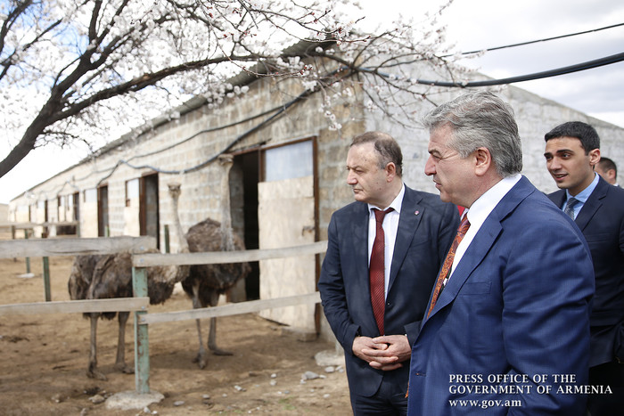 Կարեն Կարապետյանն Արմավիրի մարզում ծանոթացել է ջայլամաբուծության, պիստակի այգիների հիմնման և գինեգոր