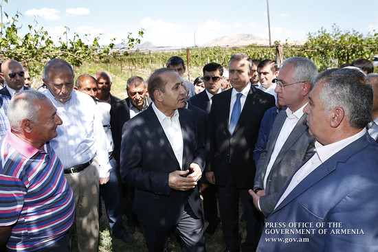Մենք գյուղացու կողքին ենք կանգնելու հստակ ծրագրերով. ՀՀ վարչապետ