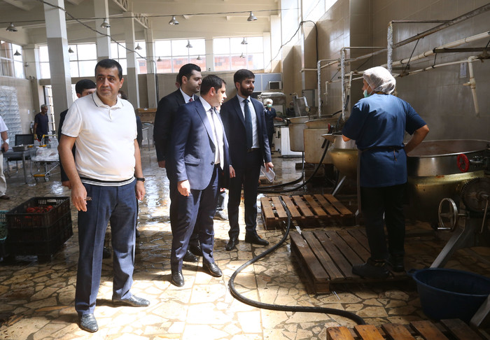 Փոխվարչապետ Սուրեն Պապիկյանն Արմավիրում ծանոթացել է խաղողի մթերման գործընթացին